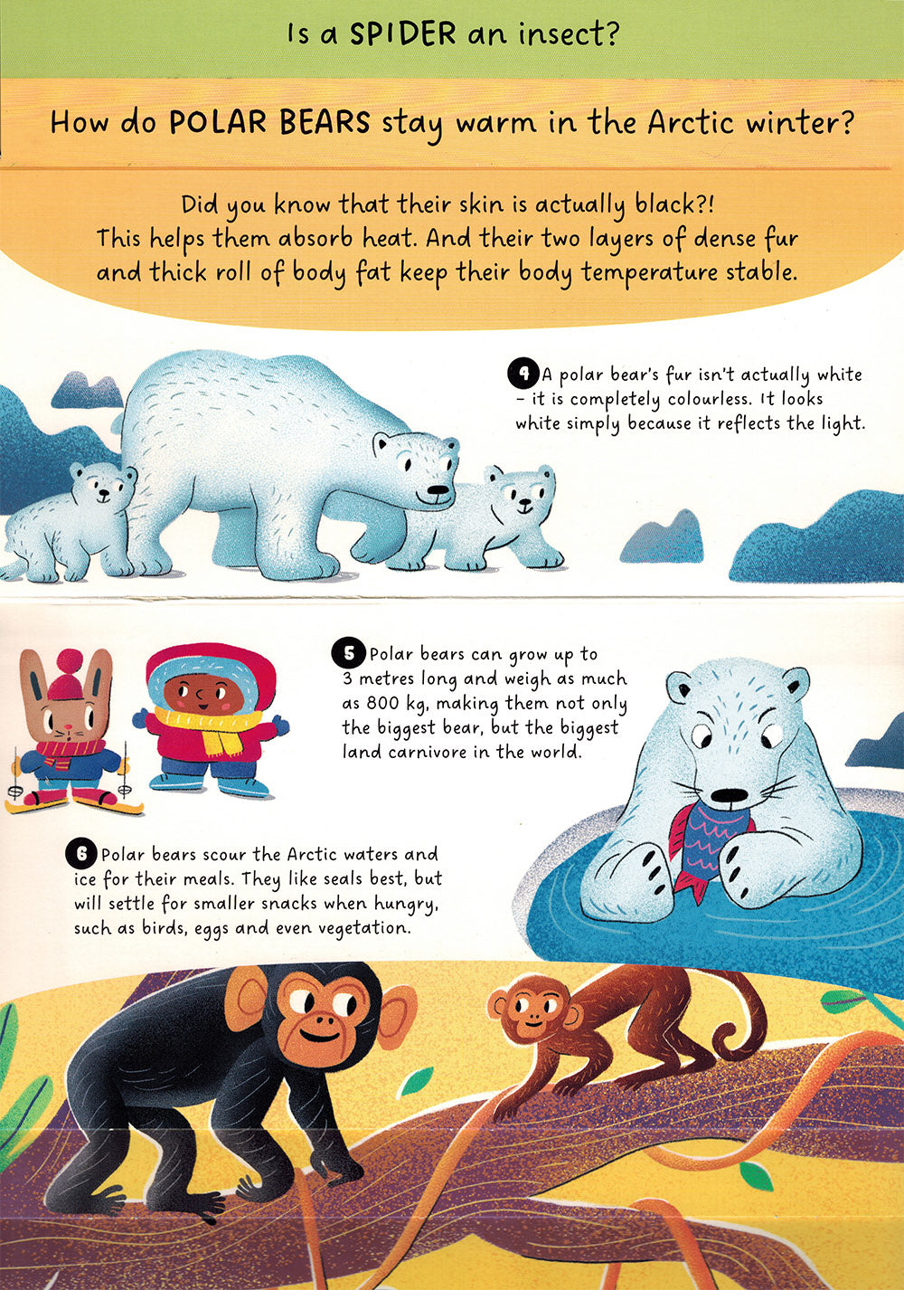 Animals - Step by Step Questions & Answers