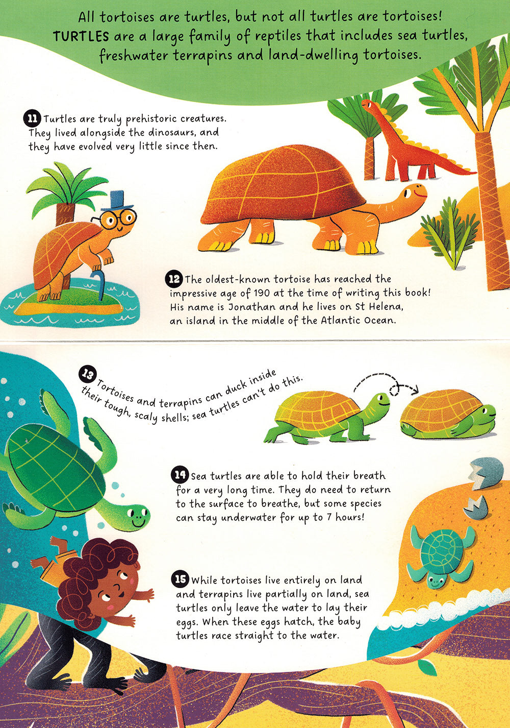 Animals - Step by Step Questions & Answers