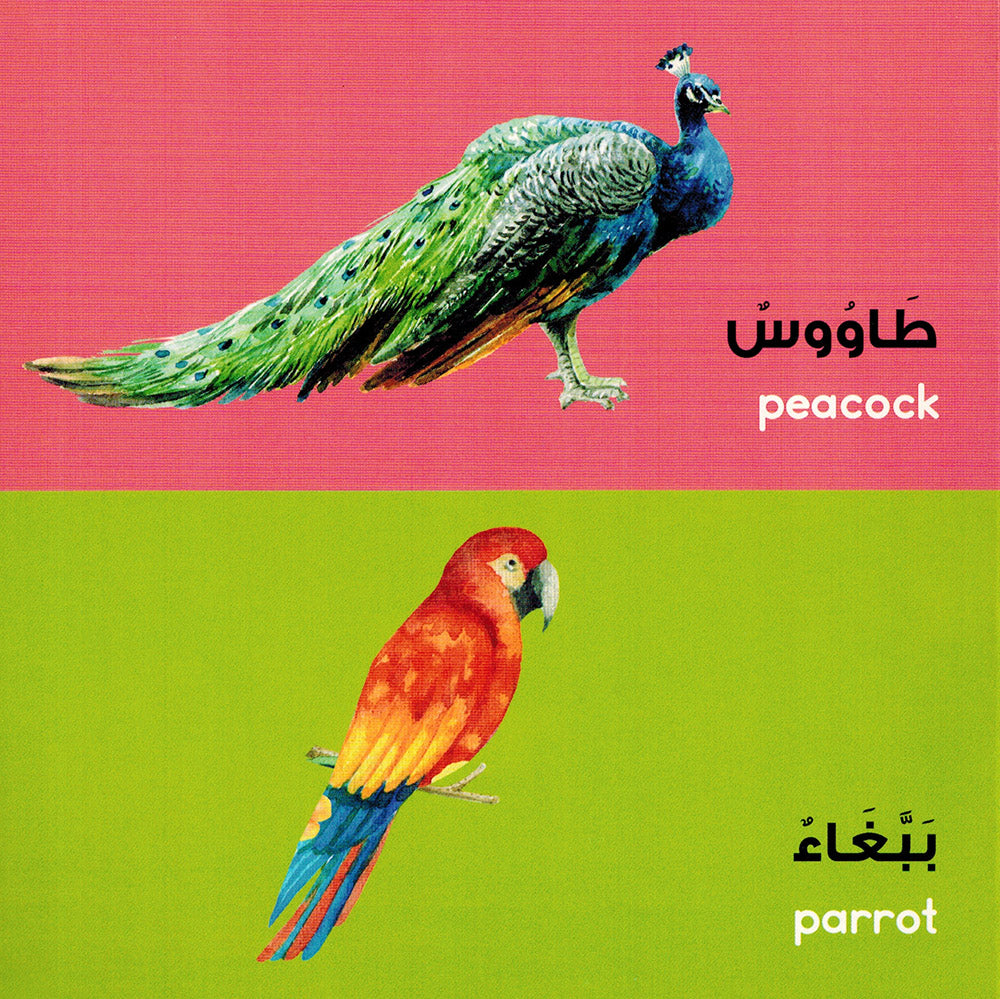 Arabic Words - Goodword | الكلمات العربية