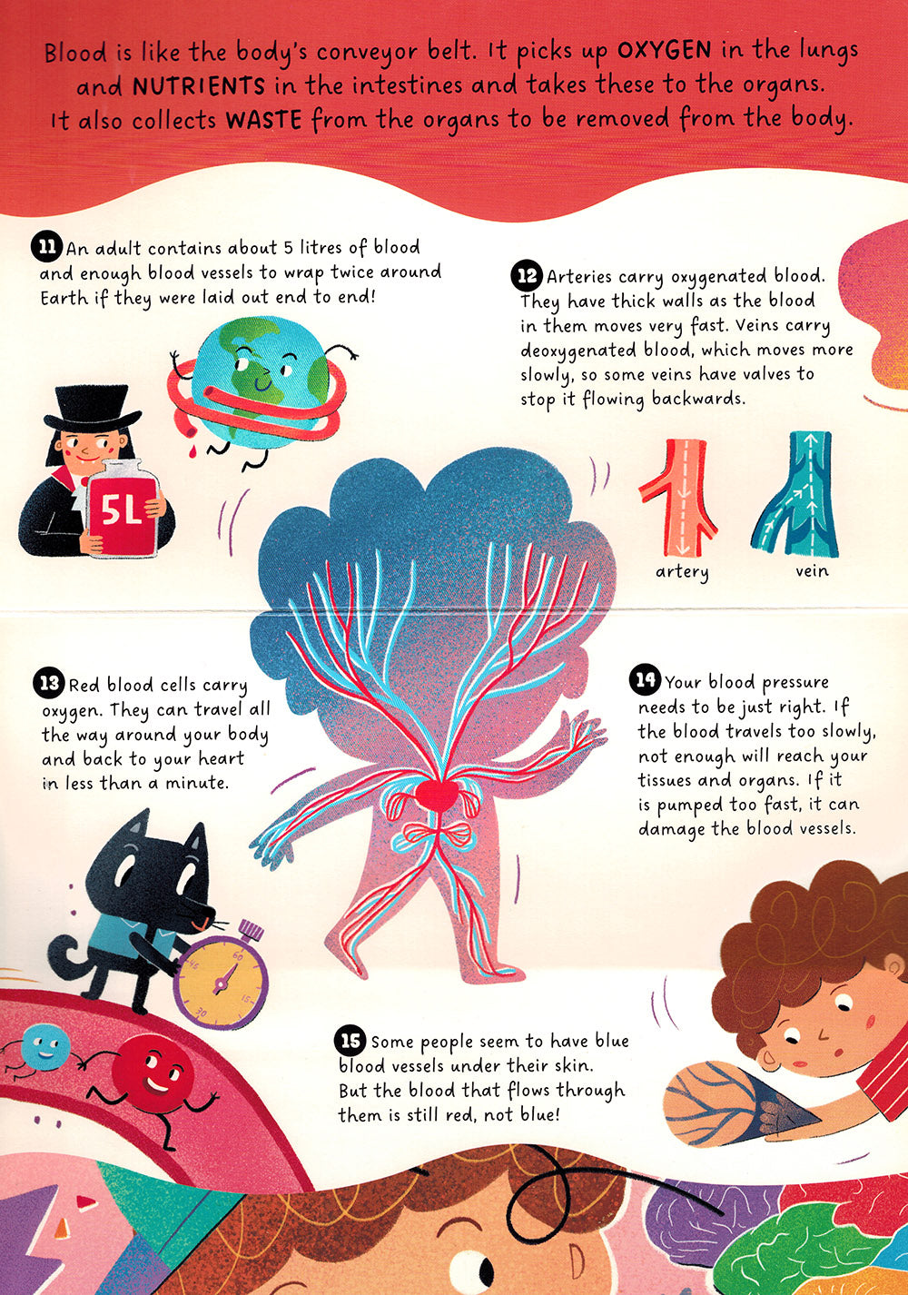 Human Body - Step by Step Questions & Answers