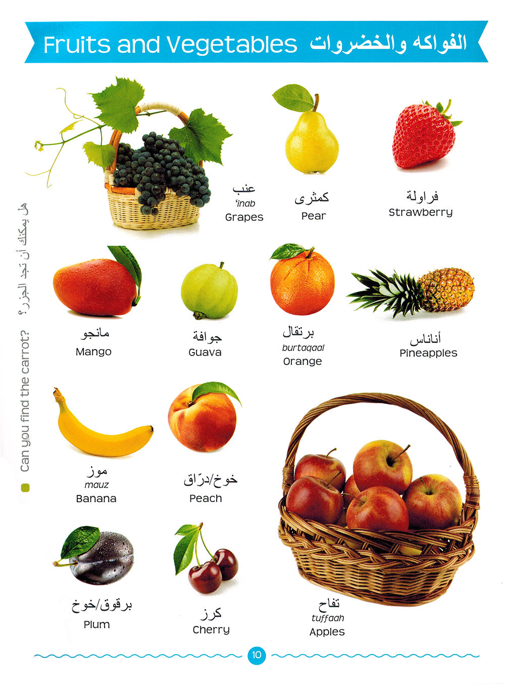 My First Arabic Words