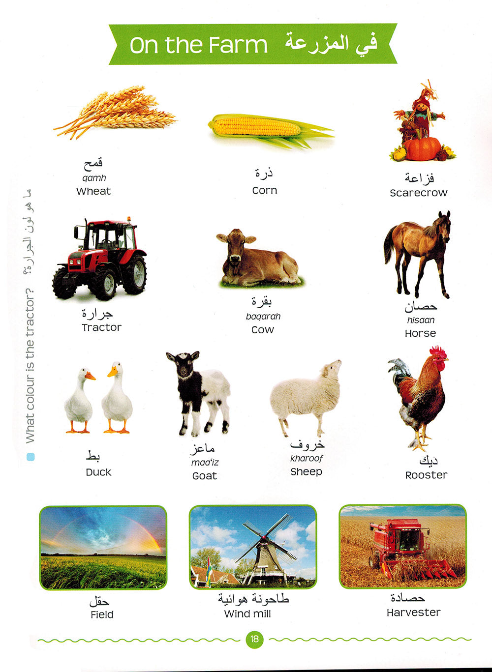 My First Arabic Words