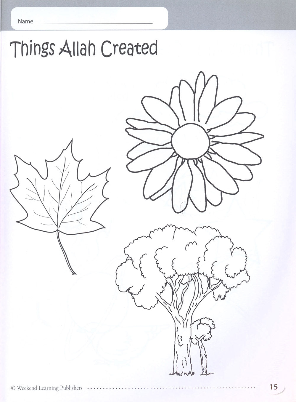 My Islamic Coloring Book