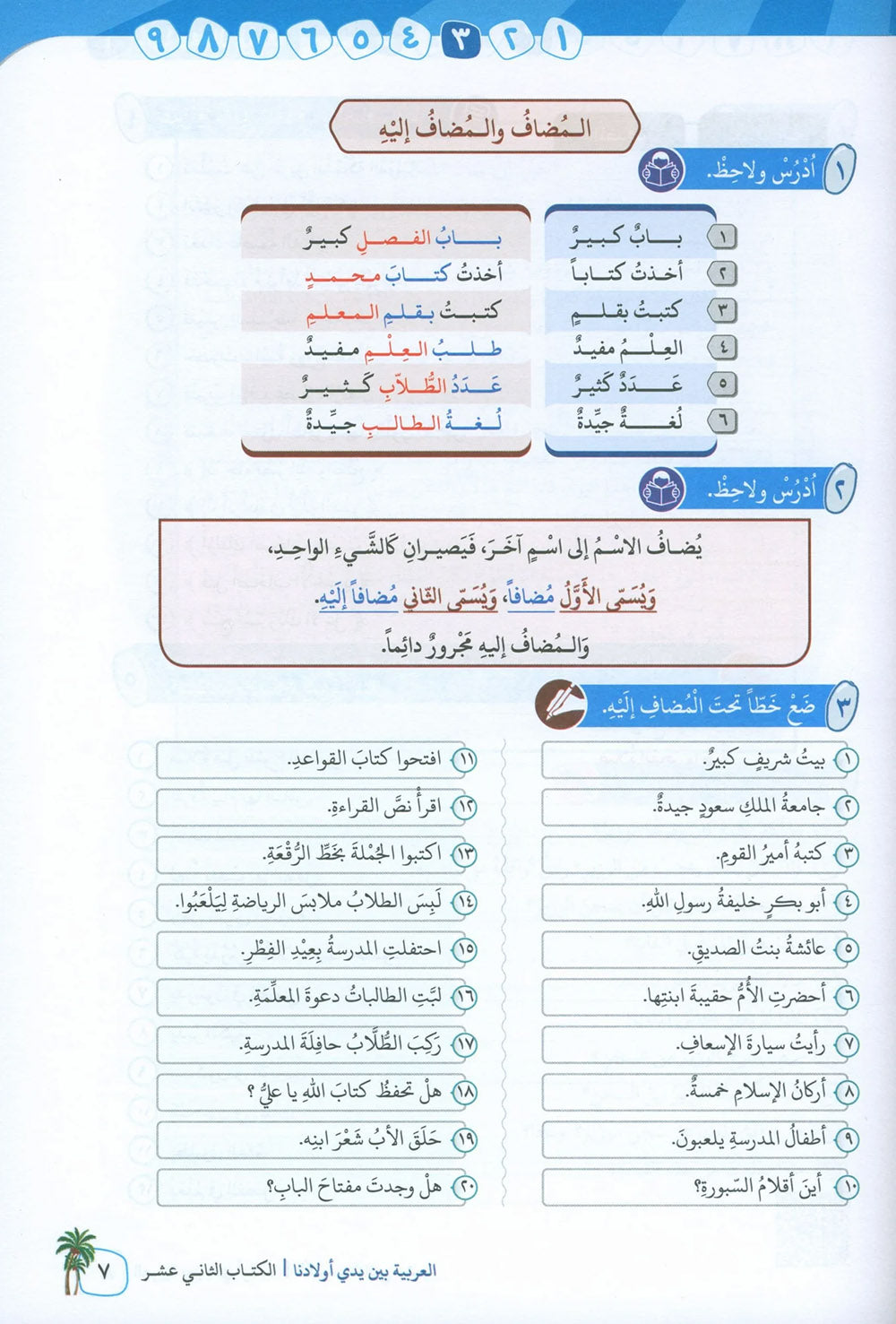 Arabic Between Our Children's Hands Level 12 | العربية بين يدي أولادنا