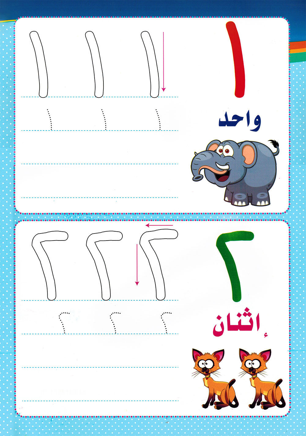 Write & Wipe - My Numbers | أكتب وامسح - أرقامي