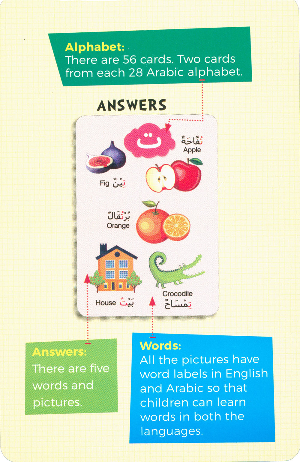 Early Learning Arabic Flash Cards | بطاقات للتعلم المبكر باللغة العربية