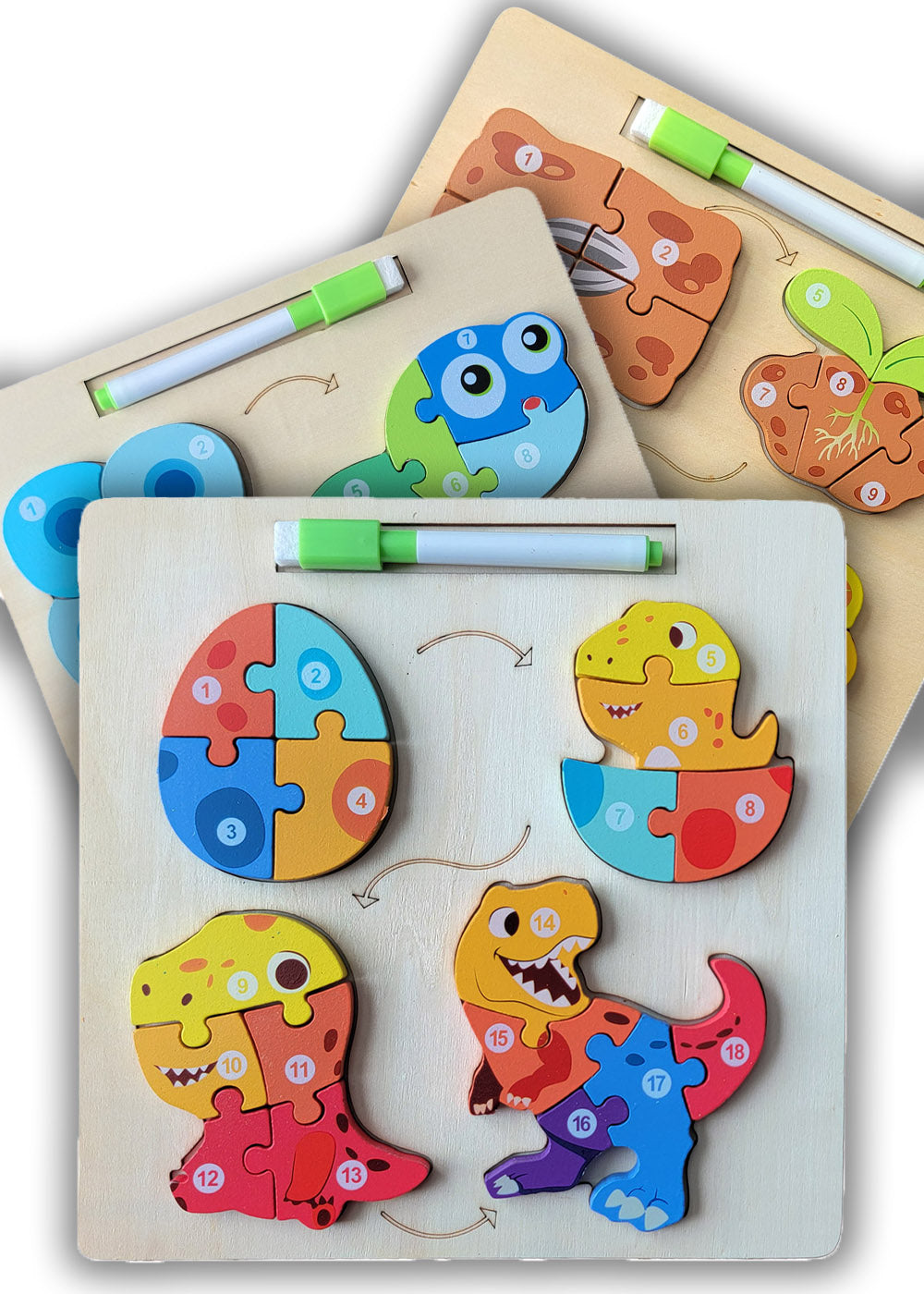 Wooden Montessori Life Cycle Puzzle - Set of 3 Puzzles