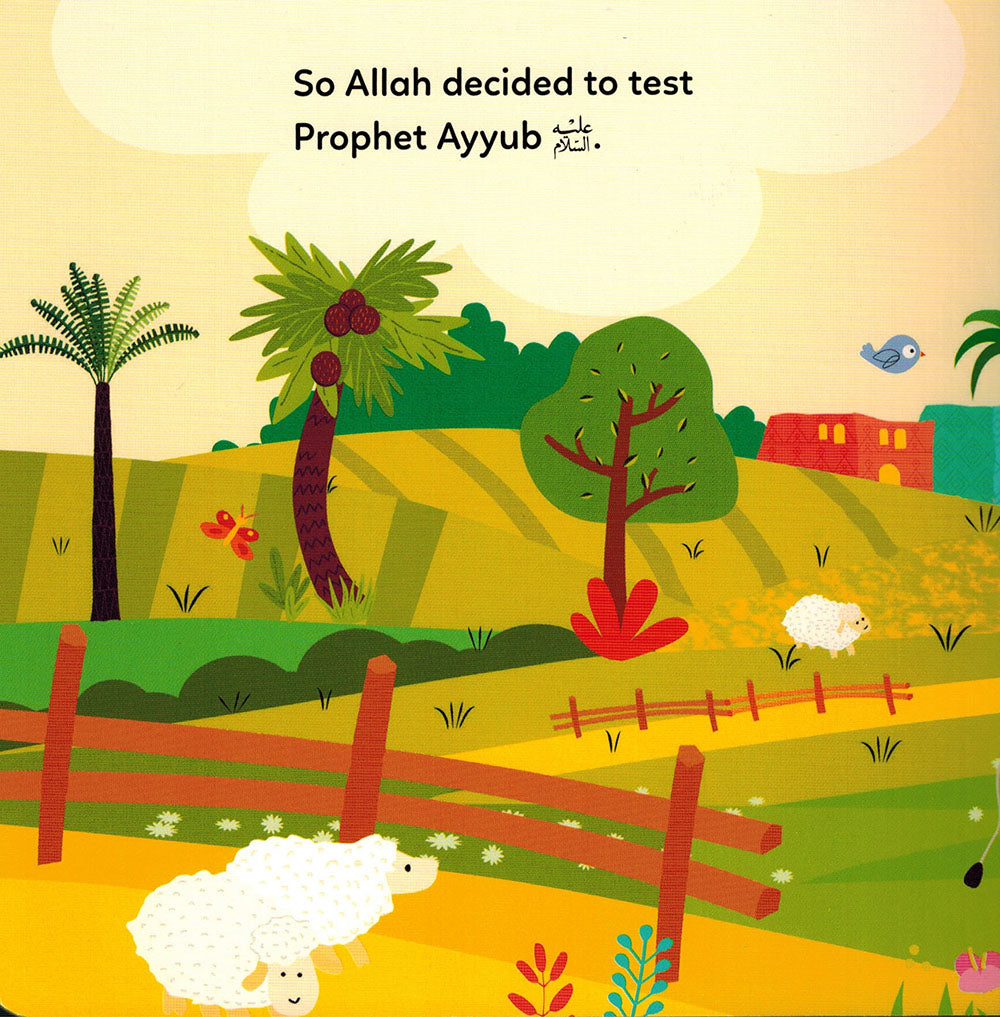 Quran Stories Little Library Vol.2 - 4 Board Books Set