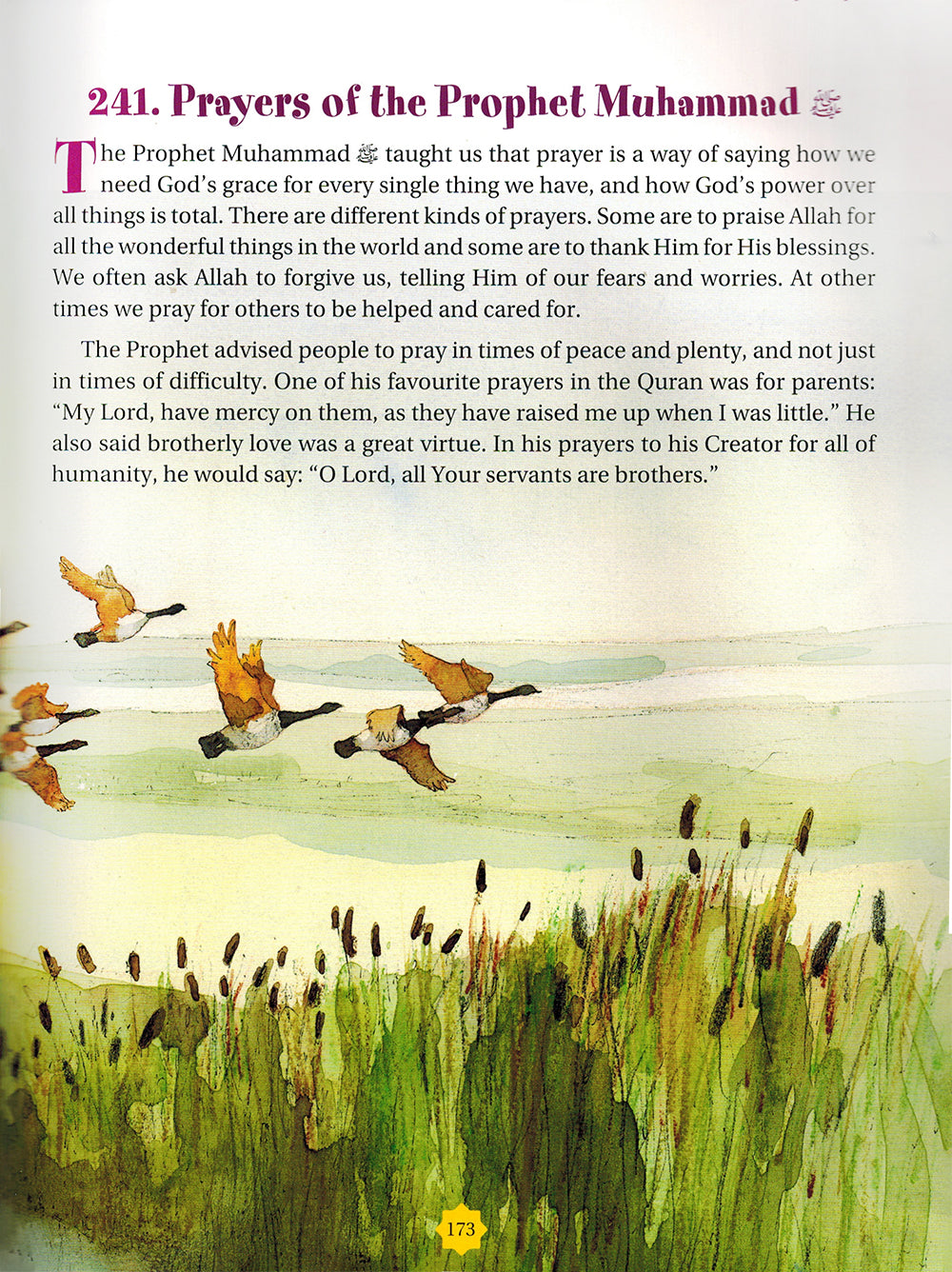 365 Prophet Muhammad Stories