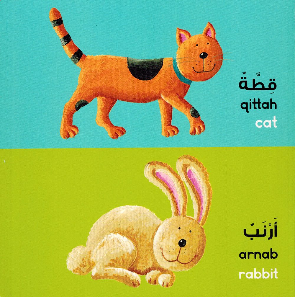 Animals - Goodword | الحيوانات