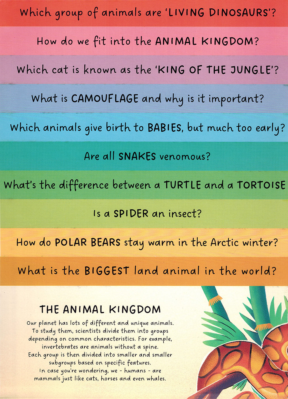 Animals - Step by Step Questions & Answers