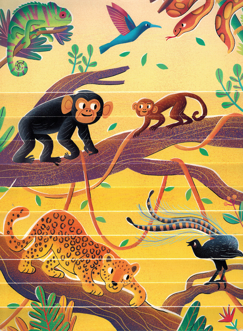 Animals - Step by Step Questions & Answers