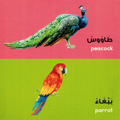 Arabic Words - Goodword | الكلمات العربية