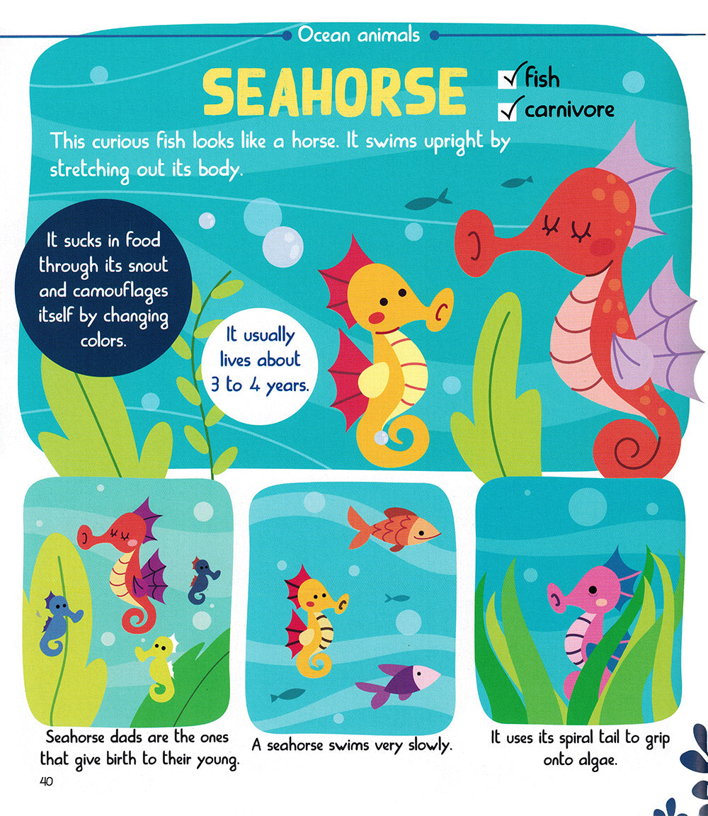 Junior Encyclopedia of Animals