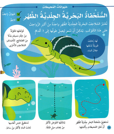 Junior Encyclopedia of Animals Arabic |  موسوعة الحيوانات للمبتدئين عربي