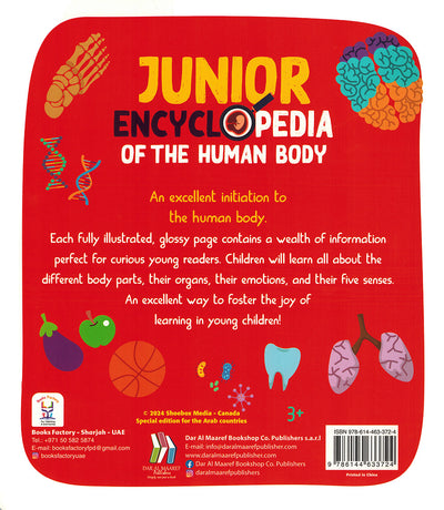 Junior Encyclopedia of The Human Body