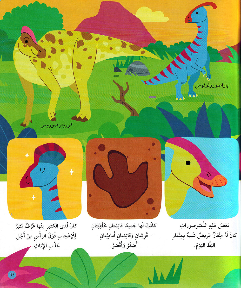 Junior Encyclopedia of Dinosaurs Arabic |  موسوعة الديناصورات للمبتدئين عربي