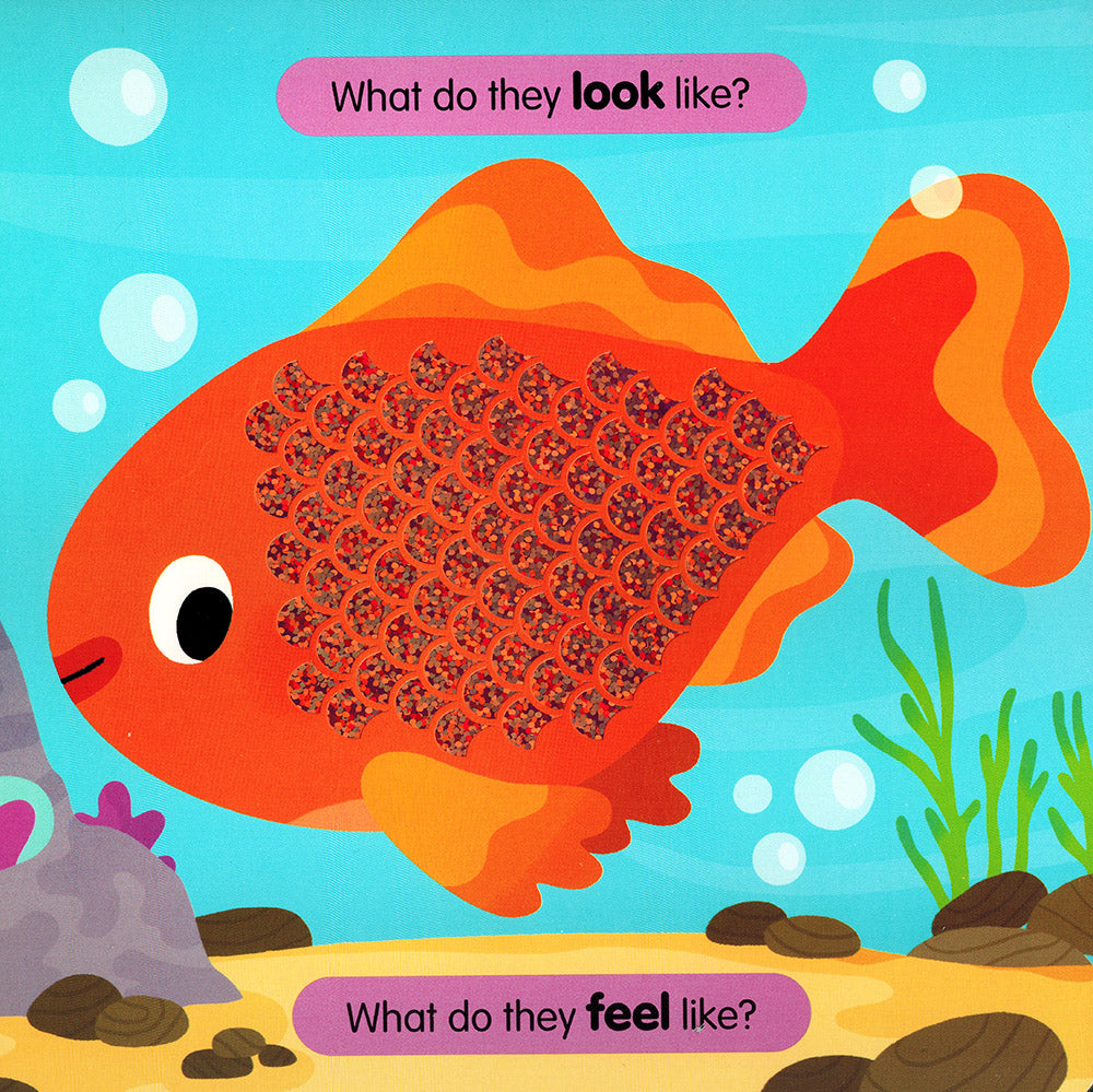 Sensory Pets