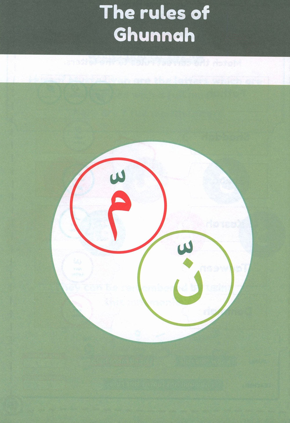 Tajweed Guide