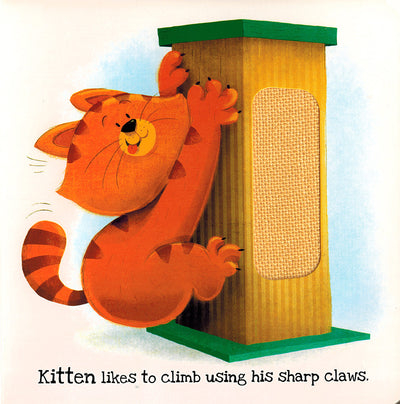 What Does Kitten Like?