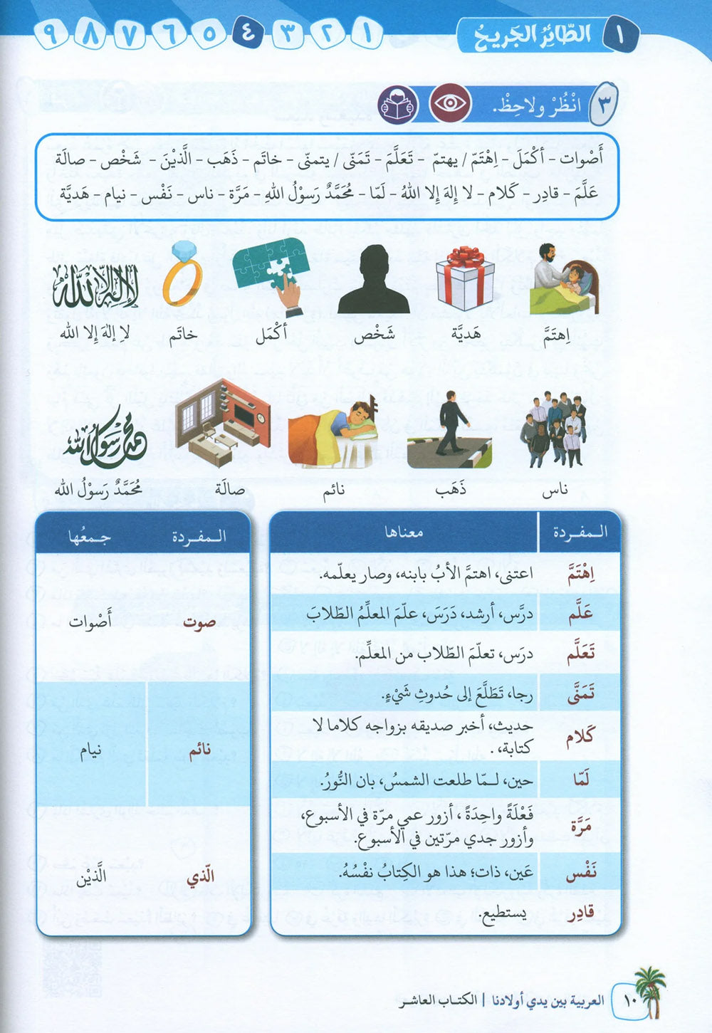 Arabic Between Our Children's Hands Level 10 | العربية بين يدي أولادنا