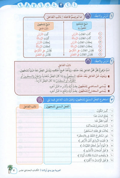 Arabic Between Our Children's Hands Level 11 | العربية بين يدي أولادنا