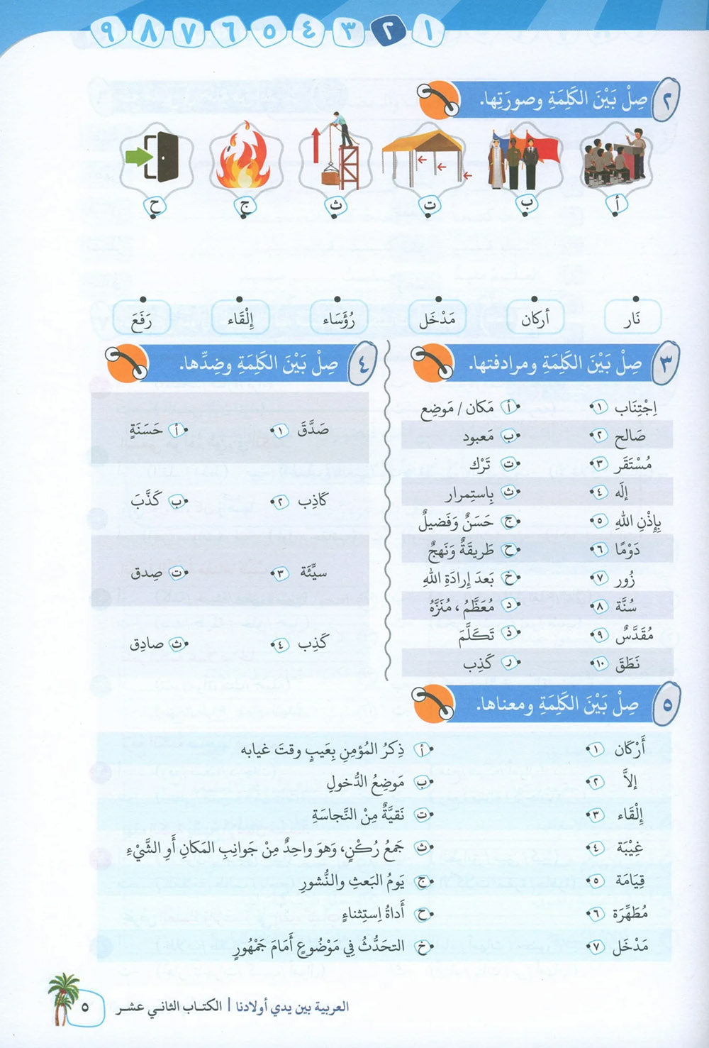 Arabic Between Our Children's Hands Level 12 | العربية بين يدي أولادنا