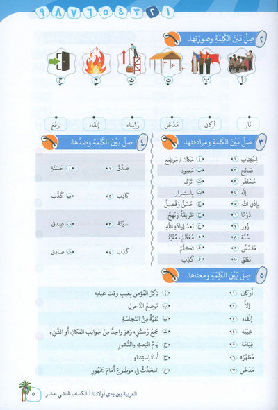 Arabic Between Our Children's Hands Level 12 | العربية بين يدي أولادنا