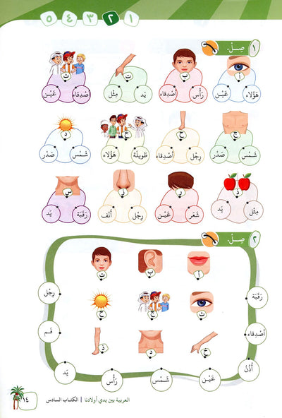 Arabic Between Our Children's Hands Level 6 | العربية بين يدي أولادنا