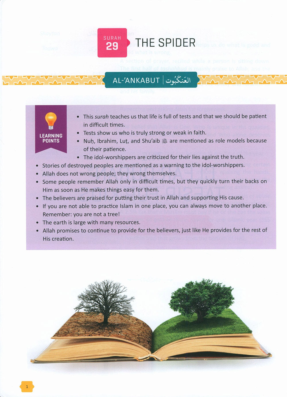 The Clear Quran - Tafsir For Kids - Volume 3 - Surahs 29-48
