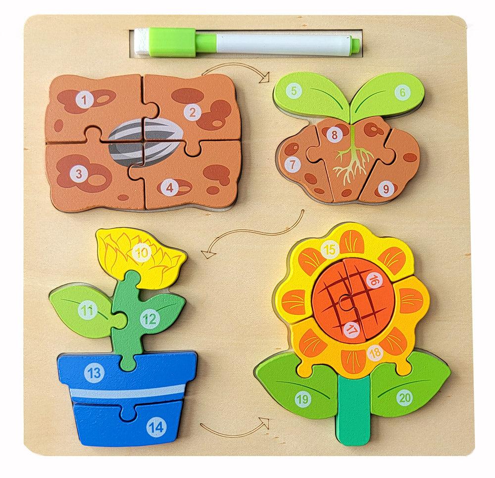 Wooden Montessori Life Cycle Puzzle - Set of 3 Puzzles