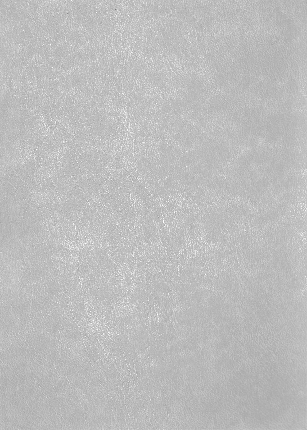 Holy Quran - Silver & Gold - 5.5 in x 8 in | القرآن الكريم - فضي وذهبي