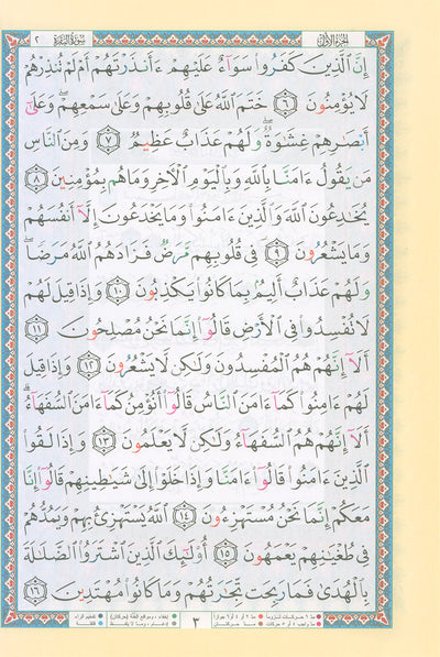 Tajweed Quran - Shu'bah Narration - QR (7x10 in) | مصحف التجويد