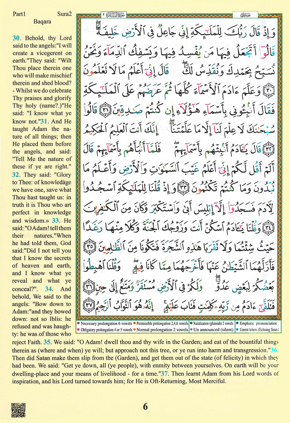 Tajweed Quran With Meaning Translation in English (7x10 in)