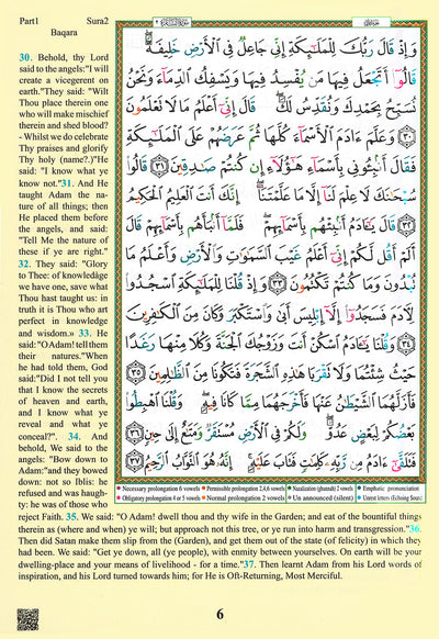 Tajweed Quran With Meaning Translation in English - QR (7x10 in)
