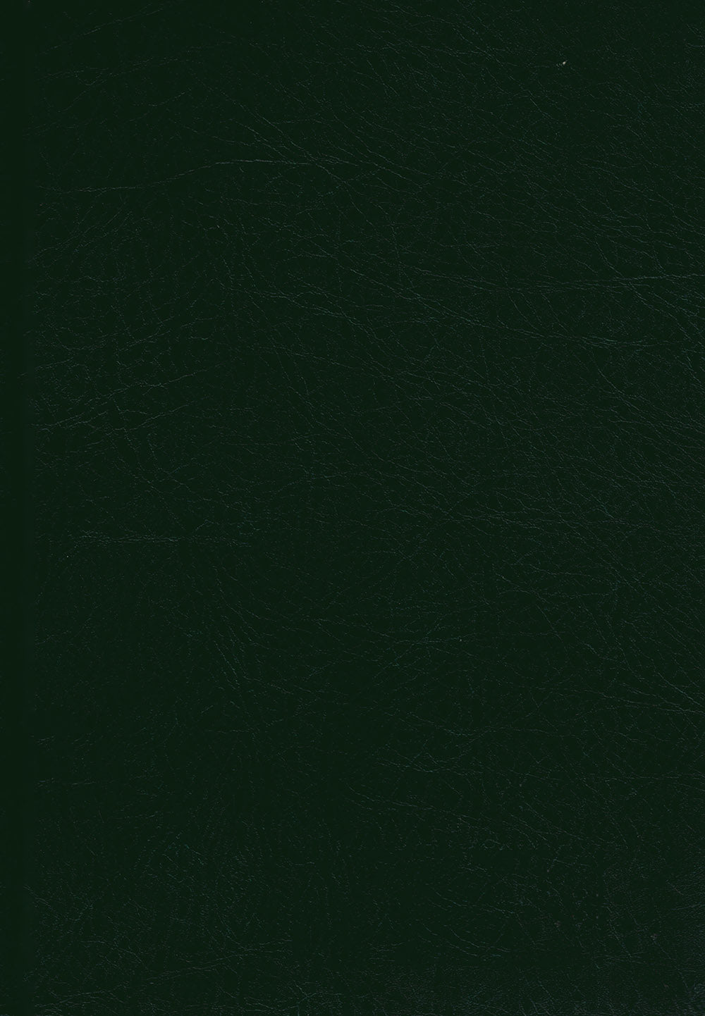 Tajweed Quran With Meaning Translation and Transliteration in English (7x10 in)