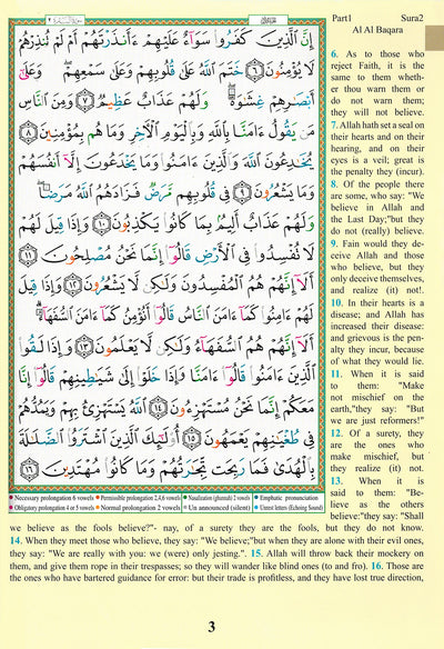Tajweed Quran With Meaning Translation and Transliteration in English - QR (7x10 in)