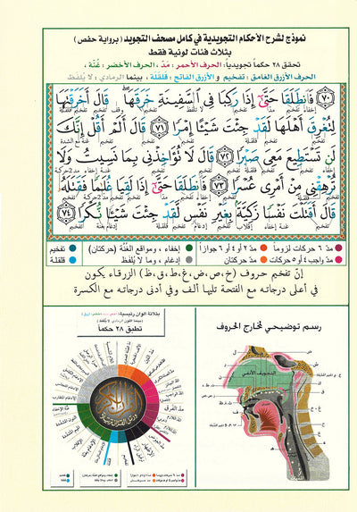 Tajweed Quran - Juz' Amma, Tabarak and Qad Same'a - QR (7x9.5 in) | مصحف التجويد - جزء عم، تبارك و قد سمع