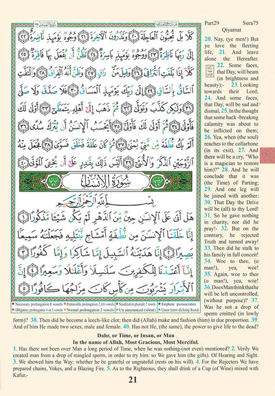Tajweed Quran - Juz' Tabarak - With Meaning Translation and Transliteration in English - QR (7x9.5 in)