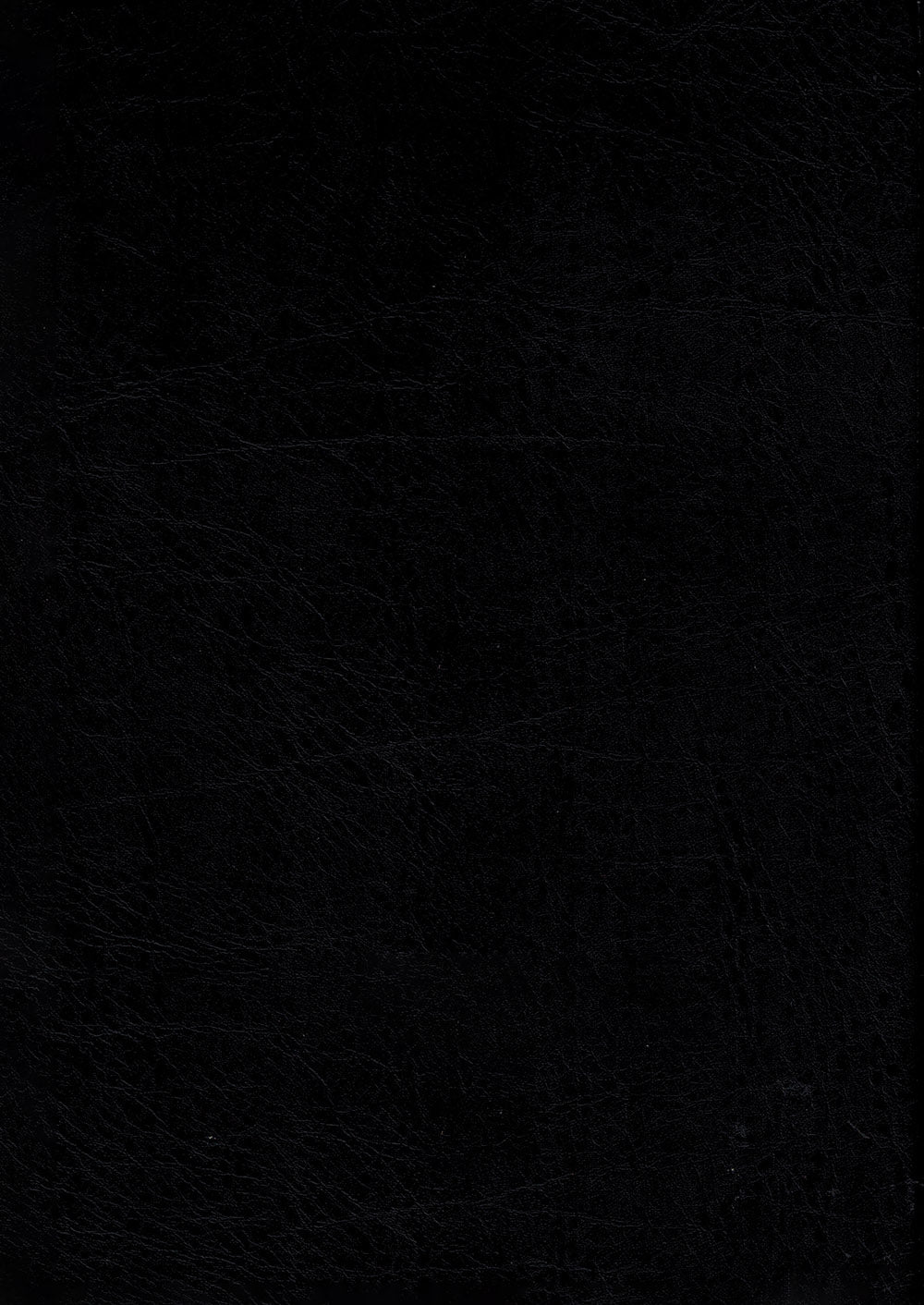 Tajweed Quran With Meaning Translation and Transliteration in Spanish (7x10 in)