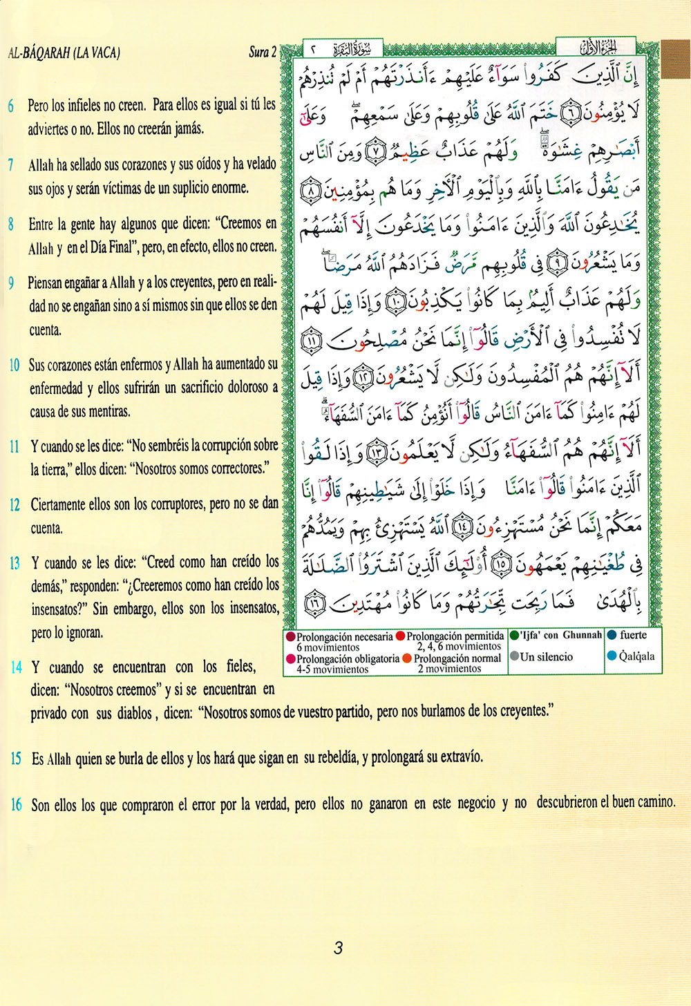 Tajweed Quran With Meaning Translation and Transliteration in Spanish (7x10 in)