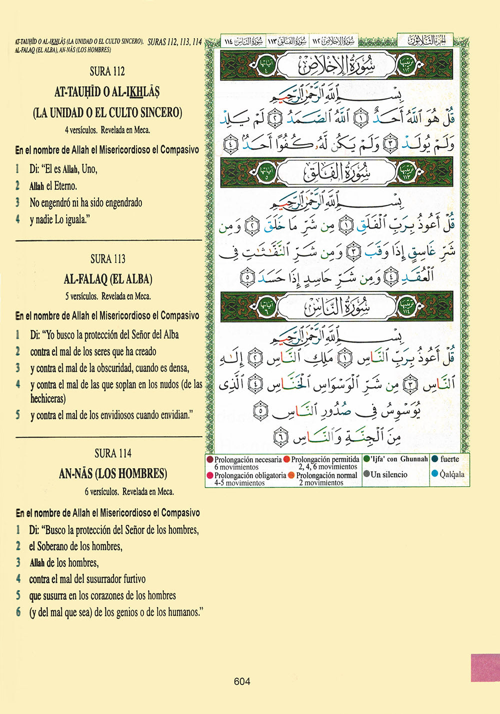 Tajweed Quran With Meaning Translation and Transliteration in Spanish (7x10 in)